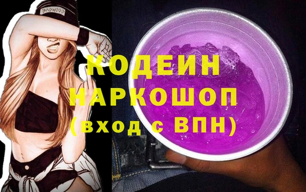 индика Арсеньев