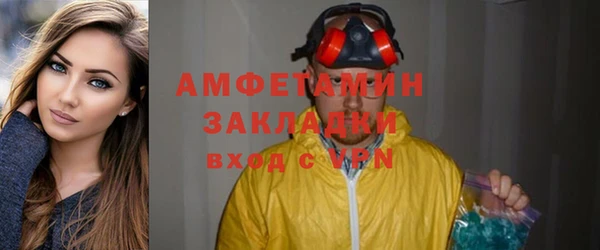индика Арсеньев