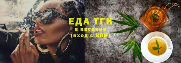 индика Арсеньев
