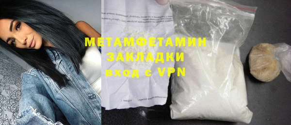 индика Арсеньев