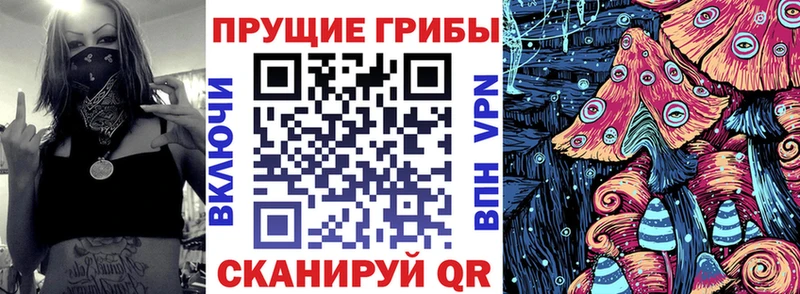 Купить закладки Волосово Галлюциногенные грибы MAGIC MUSHROOMS